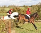 Image 5 in TEAM CHASING IN SUFFOLK. NOV. 2013.