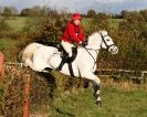 Image 6 in TEAM CHASING IN SUFFOLK. NOV. 2013.