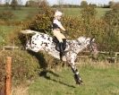 Image 7 in TEAM CHASING IN SUFFOLK. NOV. 2013.