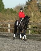 Image 10 in A YOUNG DRESSAGE RIDER.