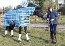 Image 17 in A YOUNG DRESSAGE RIDER.