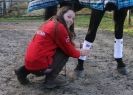 Image 18 in A YOUNG DRESSAGE RIDER.