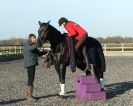 Image 2 in A YOUNG DRESSAGE RIDER.