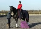 Image 20 in A YOUNG DRESSAGE RIDER.