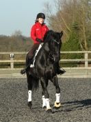 Image 26 in A YOUNG DRESSAGE RIDER.