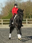 Image 27 in A YOUNG DRESSAGE RIDER.