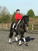 Image 28 in A YOUNG DRESSAGE RIDER.