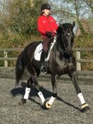 Image 29 in A YOUNG DRESSAGE RIDER.