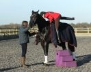 Image 3 in A YOUNG DRESSAGE RIDER.