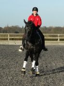 Image 30 in A YOUNG DRESSAGE RIDER.