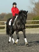 Image 31 in A YOUNG DRESSAGE RIDER.