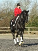 Image 33 in A YOUNG DRESSAGE RIDER.