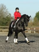 Image 34 in A YOUNG DRESSAGE RIDER.