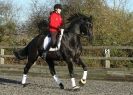 Image 37 in A YOUNG DRESSAGE RIDER.