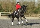 Image 39 in A YOUNG DRESSAGE RIDER.