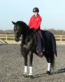 Image 4 in A YOUNG DRESSAGE RIDER.