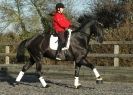 Image 41 in A YOUNG DRESSAGE RIDER.