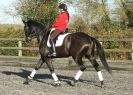Image 42 in A YOUNG DRESSAGE RIDER.