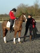 Image 46 in A YOUNG DRESSAGE RIDER.