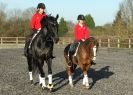 Image 48 in A YOUNG DRESSAGE RIDER.