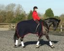 Image 5 in A YOUNG DRESSAGE RIDER.
