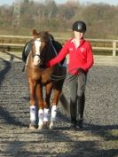 Image 54 in A YOUNG DRESSAGE RIDER.