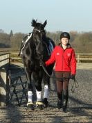 Image 55 in A YOUNG DRESSAGE RIDER.