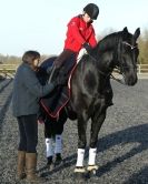 Image 6 in A YOUNG DRESSAGE RIDER.