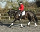 Image 7 in A YOUNG DRESSAGE RIDER.