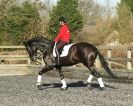 Image 8 in A YOUNG DRESSAGE RIDER.