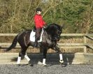 Image 9 in A YOUNG DRESSAGE RIDER.
