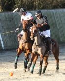 Image 14 in NORFOLK POLO CLUB. DEC. 2013