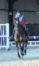 Image 21 in BROADS EQUESTRIAN CENTRE. Clear round jumping. 11 JAN. 2014