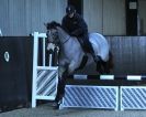 Image 30 in BROADS EQUESTRIAN CENTRE. Clear round jumping. 11 JAN. 2014