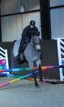 Image 31 in BROADS EQUESTRIAN CENTRE. Clear round jumping. 11 JAN. 2014