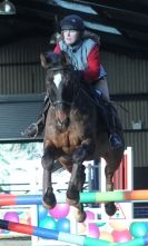 Image 33 in BROADS EQUESTRIAN CENTRE. Clear round jumping. 11 JAN. 2014