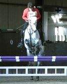 Image 36 in BROADS EQUESTRIAN CENTRE. Clear round jumping. 11 JAN. 2014