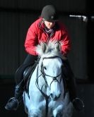 Image 37 in BROADS EQUESTRIAN CENTRE. Clear round jumping. 11 JAN. 2014