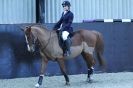 Image 4 in BROADS EQUESTRIAN CENTRE. Clear round jumping. 11 JAN. 2014