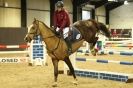 Image 25 in SHOW JUMPING. BROADS EQUESTRIAN CENTRE. 26 JAN 2014