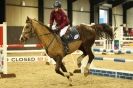 Image 26 in SHOW JUMPING. BROADS EQUESTRIAN CENTRE. 26 JAN 2014