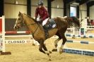 Image 26 in SHOW JUMPING. BROADS EQUESTRIAN CENTRE. 26 JAN 2014 