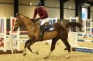 Image 27 in SHOW JUMPING. BROADS EQUESTRIAN CENTRE. 26 JAN 2014