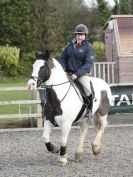 Image 11 in BROADS E.C. SHOW JUMPING  9 FEB. 2014