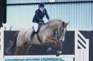 Image 39 in BROADS E.C. SHOW JUMPING  9 FEB. 2014