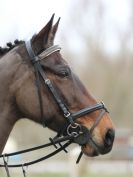 Image 54 in BROADS E.C. SHOW JUMPING  9 FEB. 2014