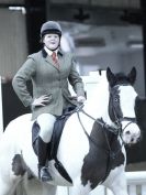 Image 59 in BROADS E.C. SHOW JUMPING 9 FEB. 2014