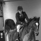 Image 72 in BROADS E.C. SHOW JUMPING  9 FEB. 2014