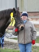 Image 8 in BROADS E.C. SHOW JUMPING  9 FEB. 2014