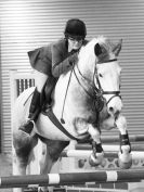 Image 81 in BROADS E.C. SHOW JUMPING  9 FEB. 2014